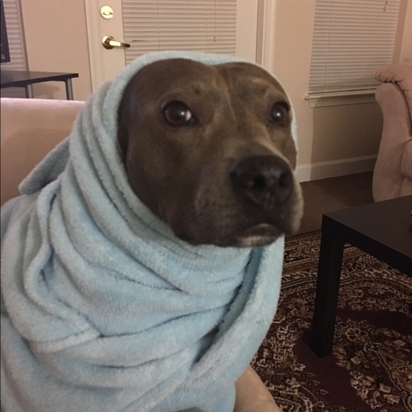 Meet your Posher, Heather - Picture 2 of 8